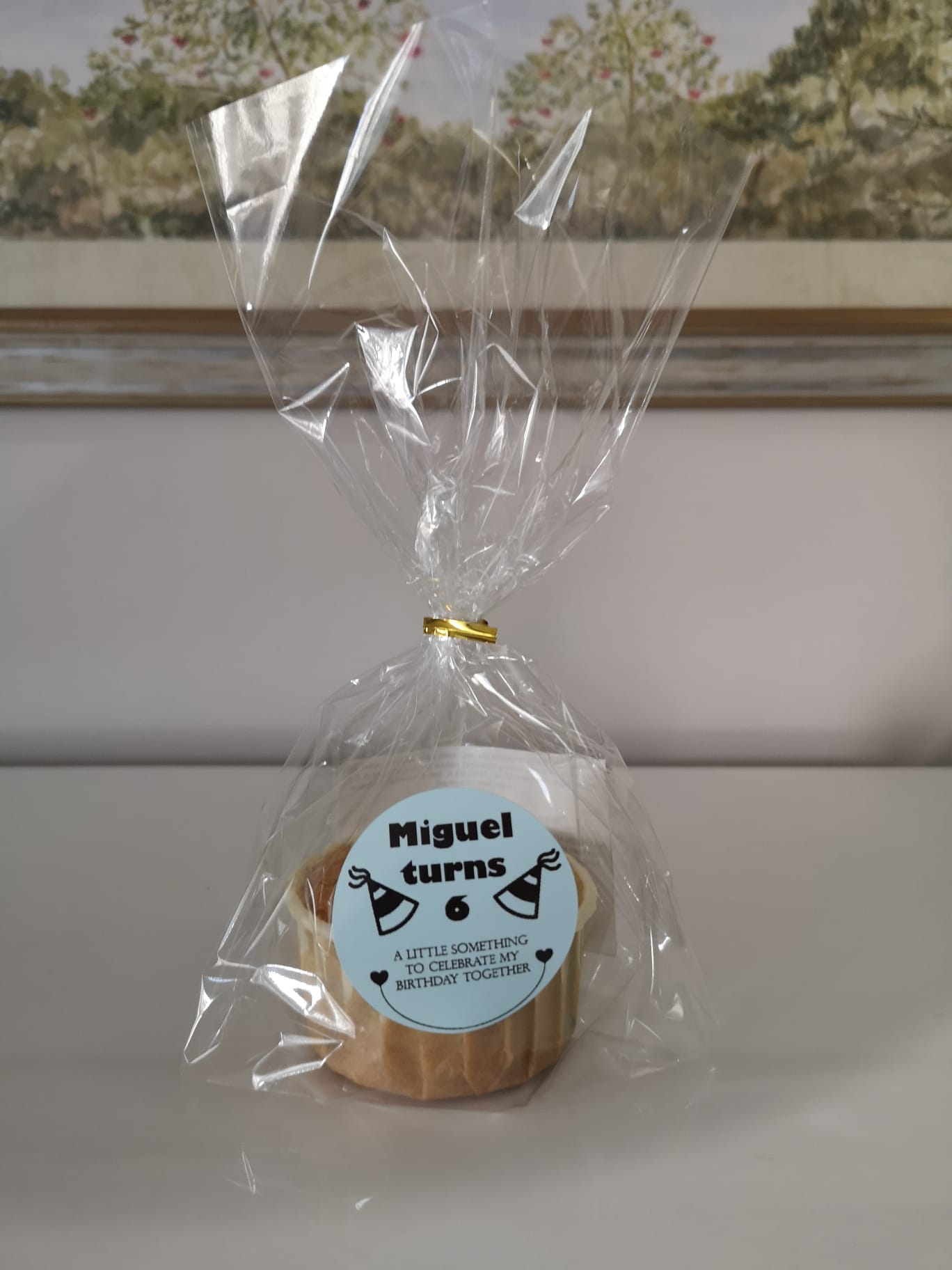 Cupcakes - SCHOOL (Individually Packed - MINIMUM of 16)