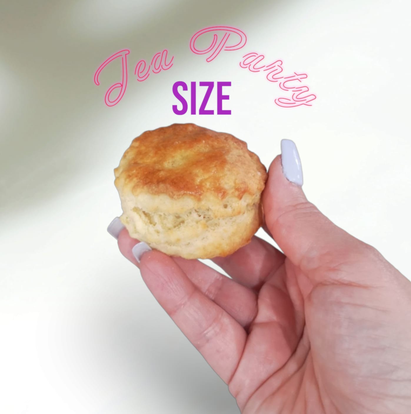 Scones - TEA PARTY SIZE (bag x16)